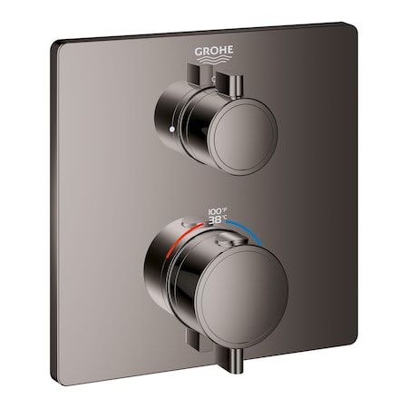 Dual Function 2-Handle Thermostatic Valve Trim, Gray